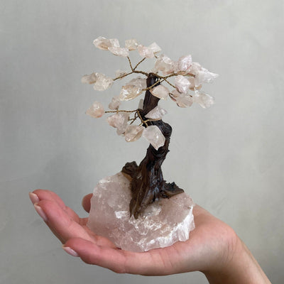 The you are loved tree | Rose Quartz - Gembii Amsterdam